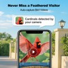 Bird Feeder with Camera,AI Identify Birds Species,Smart Birds Camera with