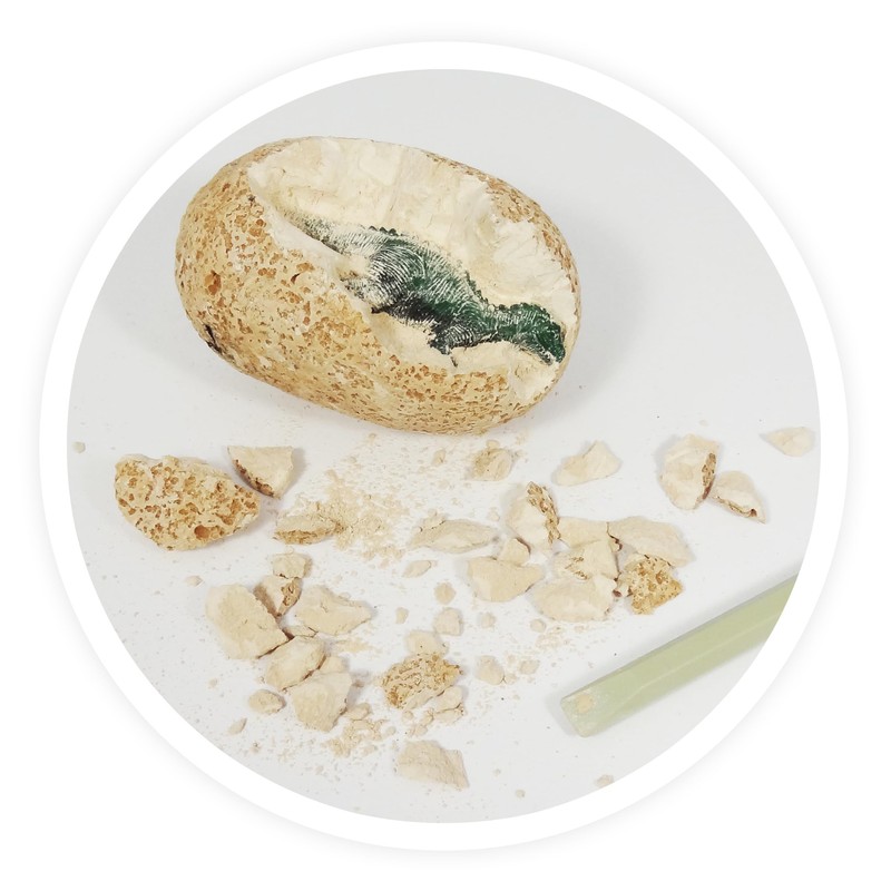 BUKI France BUKI D6O-Dino-Ei, bunt