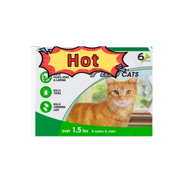 Cat home New date Cat Flea and Tick Treatment For