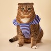 FURTiZEN Stripe Ruffle Tank for Dogs - Striped Dog Tank