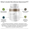 BIG BOLD HEALTH Microbiome Rejuvenate Prebiotic + Probiotic Supplement for