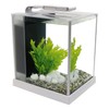 Fluval Spec III Aquarium Kit, 2.6-Gallon