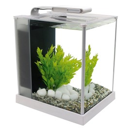 Fluval Spec III Aquarium Kit, 2.6-Gallon