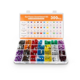 300Pcs Car Fuse Assortment Kit, 160 Mini Blade Automotive Fuses 90 Standard Auto Fuses 50 Micro Fuse, Replacement Kit for RV Truck Motorcycle 2Amp 3A 5A 7.5A 10A 15A 20A 25A 30A 35A 40A