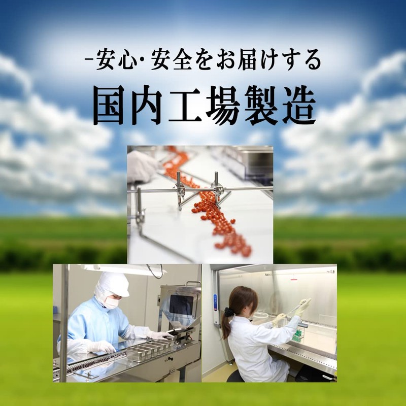 メディワン キクイモ レモン風味 60g(500mg×120粒) 8粒あたりイヌリン2,560mg
