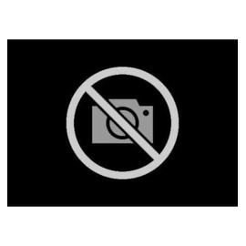 MANN-FILTER CF 924 - Sekundärelement Luftfilter – Für Nutzfahrzeuge