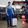 TLGREEN 799pcs Mechanic Tool Set with Aluminum Trolley Case,Home Repair