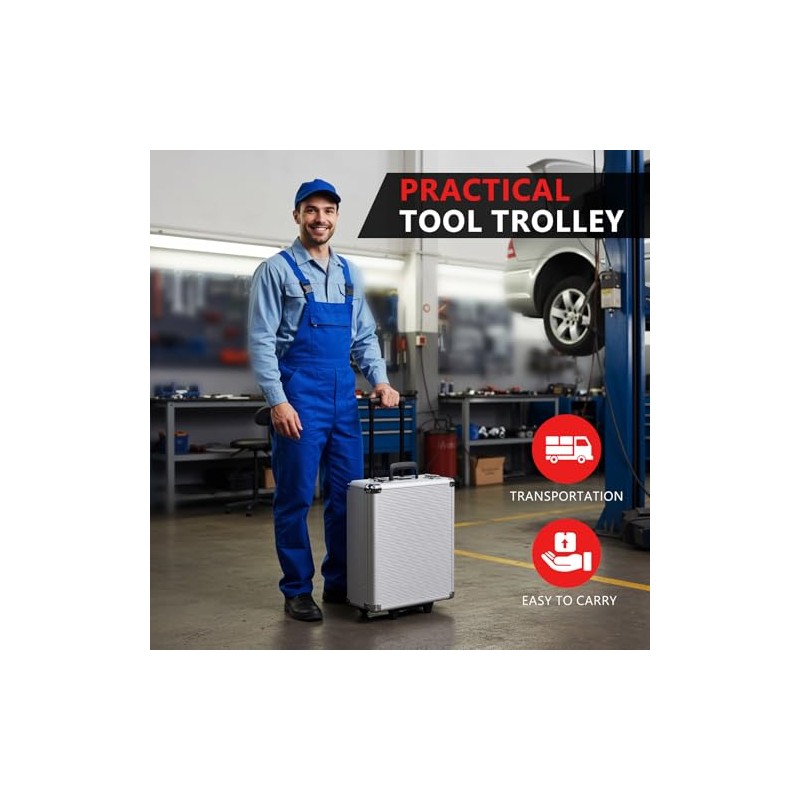 TLGREEN 799pcs Mechanic Tool Set with Aluminum Trolley Case,Home Repair