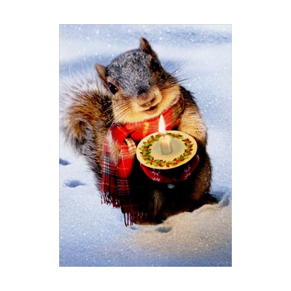 Snowy Squirrel Holds Candle - Avanti Christmas Card