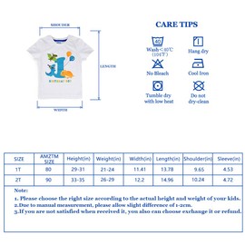 AMZTM  Dinosaur First Birthday T-Shirt One Year Old Baby Boy Kids Party Gift Top