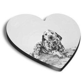 1 x Heart MDF Magnets - Naughty Dalmatian Puppy Dog 36526