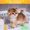SEMINISMAR Cat Toy, Interactive Cat Spring, Plastic Spiral Springs, Toy