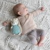 Ingenuity Premium Soft Plush Squeak Toy - Farrow The Hedgehog,