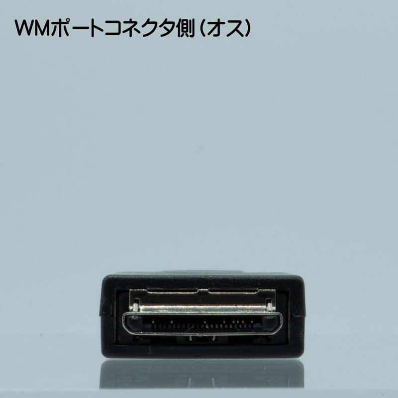 WALKMAN USB 2.0 Type-C (Female) Conversion Adapter Connector for Charging