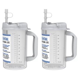 Whirley Drink Works (2) 32 oz Insulated Mugs with Straws | BPA FREE | Water Essential Hospital Mug