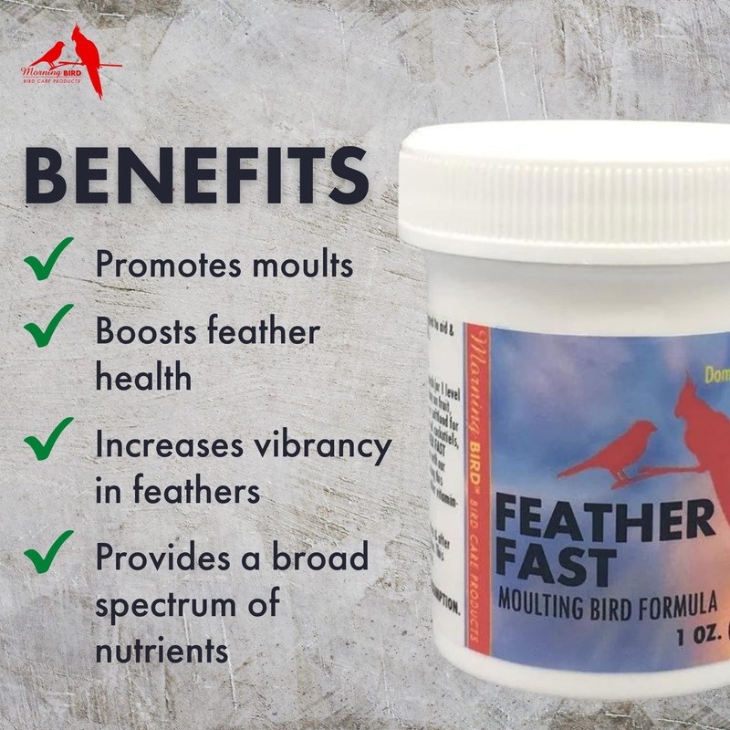 Morning Bird Feather Fast, Dietary Supplement for Moulting Birds, Mix