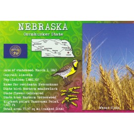 STATES1NEB - NEBRASKA, Cornhusker State, Statehood: Mar 1, 1867; Capital: LINCOLN; State Flower: Goldenrod; State Tree: Eastern Cottonwood - A U.S. State POSTCARD .. from HibiscusExpress