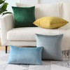 Artscope Luxury Velvet Pillow Covers Super Soft Decorative Square Throw