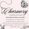 Dije de Plata con Luciernaga, Charm Plata 925 Luciernaga Evangeline
