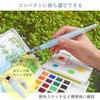 Sakura Crepas Standard Water Brush, Large QRN-L