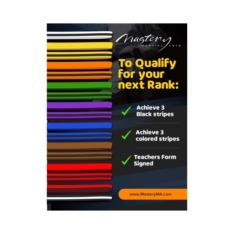 Mastery Leadership (purple belt, 1)