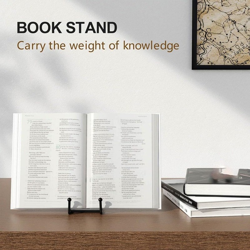 Veumoie 3 Pack Large Plate Holder Display Stand-10 Inch Tall