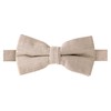 Spring Notion Men's Linen Blend Bow Tie Tan