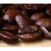 Olde World Coffee Company 2025 "Espresso" Fresh Roasted espresso coffee