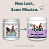 Nzymes® Bac-Pak Plus 400 Grams Digestive Enzymes and Probiotics for