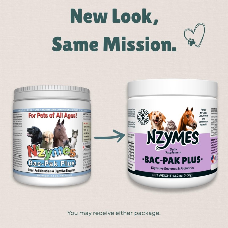 Nzymes® Bac-Pak Plus 400 Grams Digestive Enzymes and Probiotics for