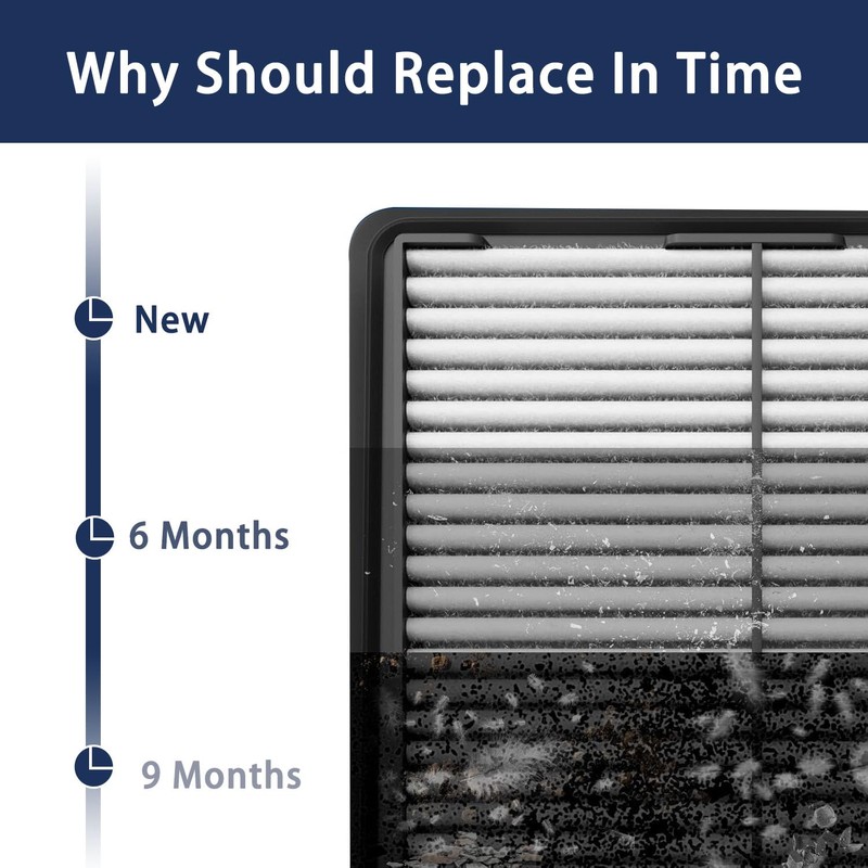 Hyundai Palisade Engine and Cabin Air Filter Set (2020 2021