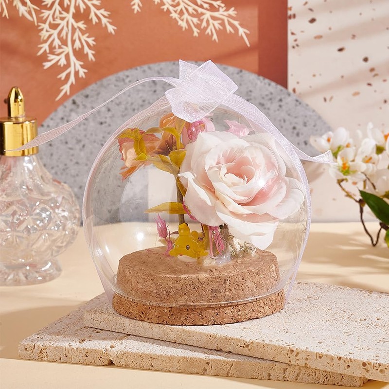 PH PandaHall Glass Dome with Base Glass Cloche Globe Display