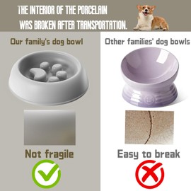 XIGOUPT Slow Feeder Cat Bowl, Dog Water Bowl for Small & Medium Sized Dogs, Fun Bloat Stop Pet Bowl for Fast Eaters, Slows Down Pets Eating,5.5Inch Beige