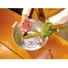 ARS Corporation FP-17-P Commercial Flower Scissors, Fleur (Pink)