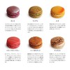 Glamourdise Assorted Macarons