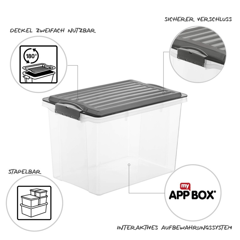 Rotho Storage Box with Lid Transparent and Compact