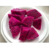 Cactus Red Dragon Fruit 2 Cutting 9-14" Hailey's Comet