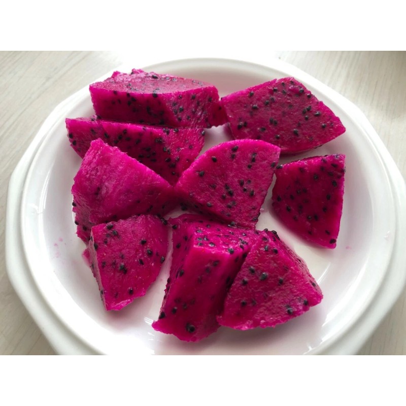 Cactus Red Dragon Fruit 2 Cutting 9-14" Hailey's Comet