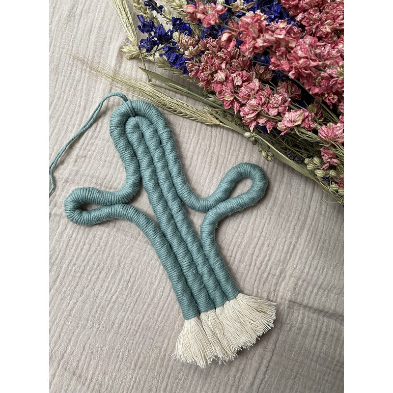 Enia Store Macrame Cactus Wall Hanging Crafts Kit (Sage)