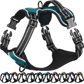 VIVAGLORY Easefit No Pull Dog Harness with Handle & Front Clip, No Pull & Heavy Duty for Puppy Pet, Dog Harness for Training & Walking, XS, Peacock Green