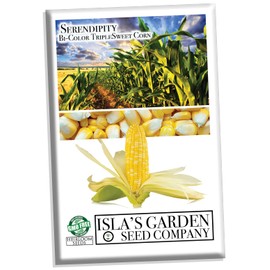 Serendipity Bi-Color TripleSweet Corn, 100+ Seeds Per Packet, (Isla's Garden Seeds), Non GMO Seeds, Botanical Name: Zea mays, Packaged for 2024 Growing Season, Great Home Garden Gift