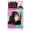PT43326 Quick Repair Brush, Quick Repair Brush, Hair Styling, Bangs