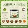 Grelim Matcha De Championes, Matcha Ceremonial Japons Infundido Con 7