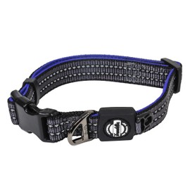 Franklin Sports Nylon Dog Collar – Reflective – Franklin Pet Supply Co™ – Comfort Fit – Neoprene – Adjustable – Medium – Purple