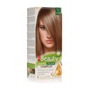 MM Beauty Permanent Hair Colour MM Beauty Phyto & Colour