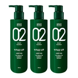 Amos Professional Green Tea Realistic Shampoo Refreshing Type Oily Scalp 500gX3 Box / 아모스 프로페셔널 녹차실감 샴푸 산뜻한타입 두피 지성 500gX3박스