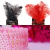 2pcs Sequins Feather Headpiece,1920s Flapper Headband,Girls Women,Mardi Gras Carnival Party