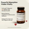 Bigvita Cocrystal Coq10 Ubiquinol Cápsulas 60