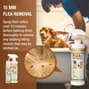 EcoVenger Flea & Tick Removal Spray 16oz for Dogs and