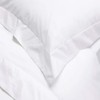 Linens Limited 100% Egyptian Cotton 400 Thread Count Flat Sheet,